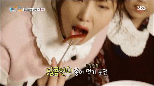 홍어