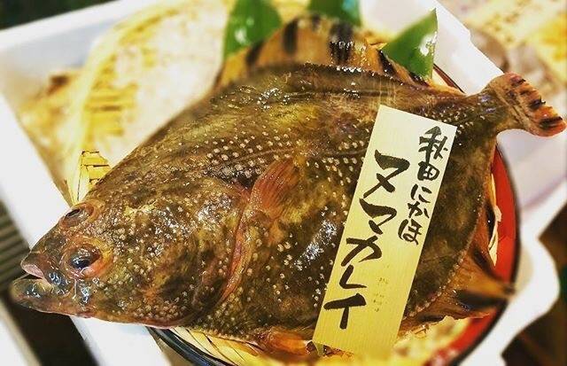 호수가자미