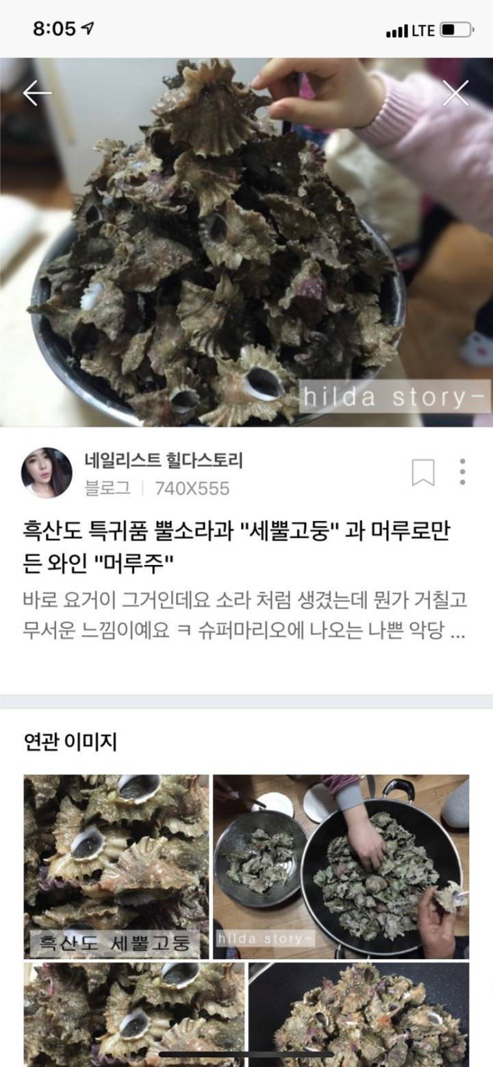 입뿔고둥