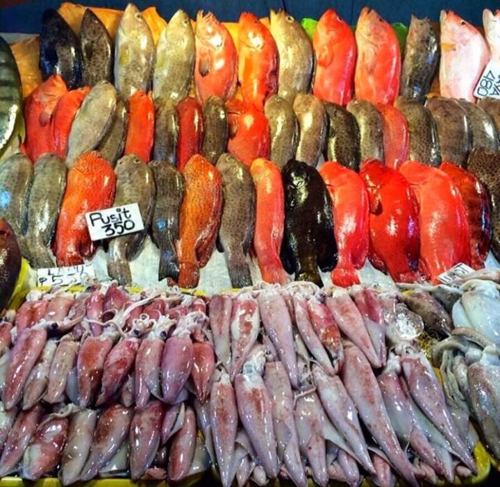 자바리