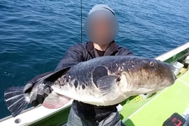 자주복