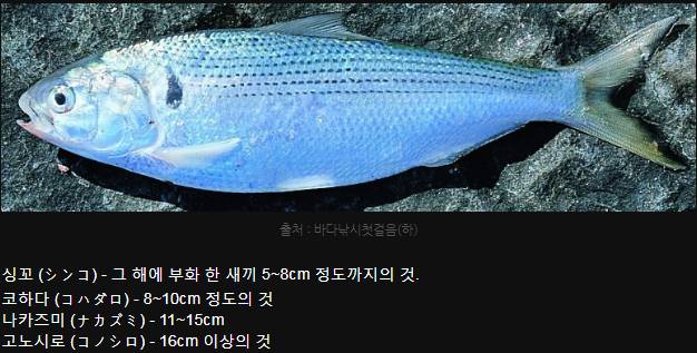전어