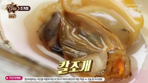 접시조개