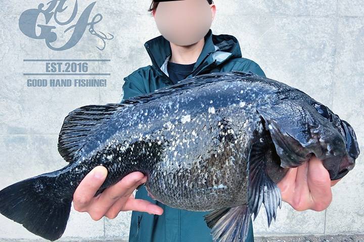 조피볼락