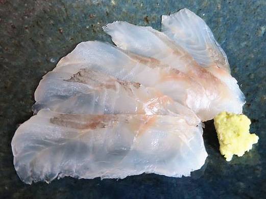 조피볼락