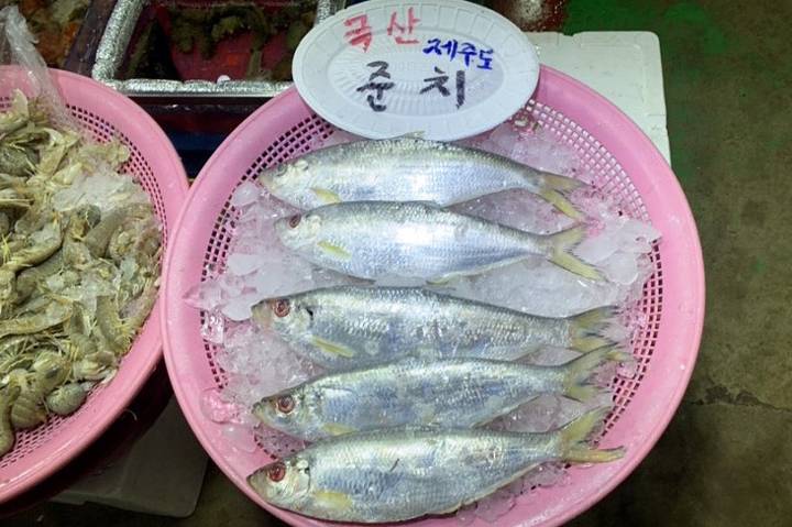 준치