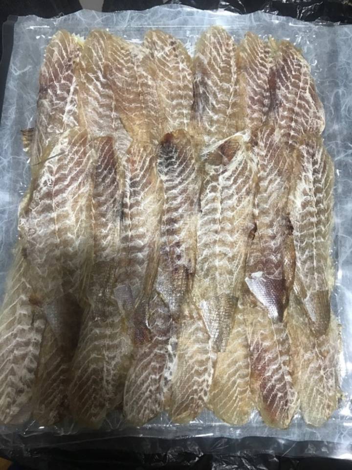 쥐치