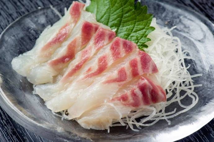 까치상어