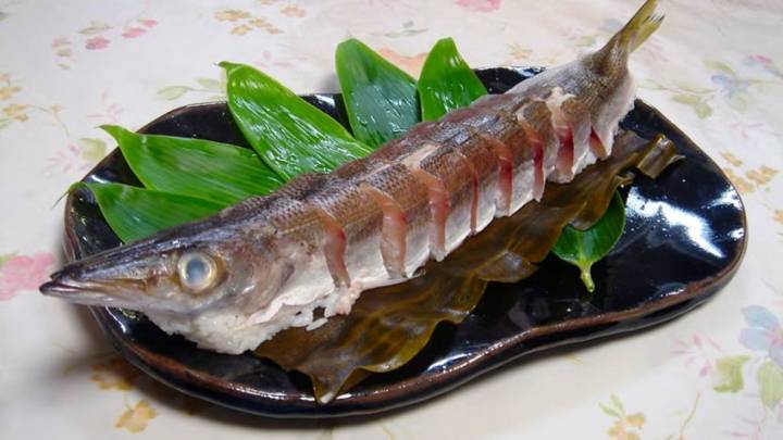 꼬치고기