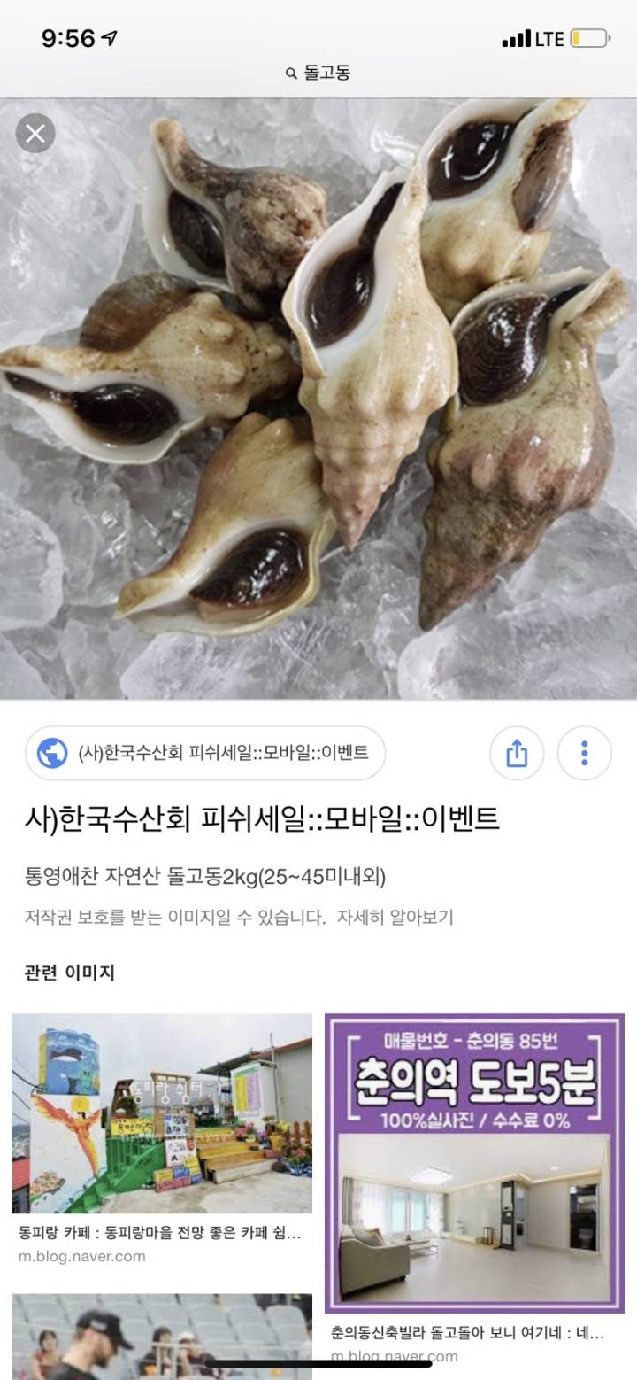 매끈이고둥