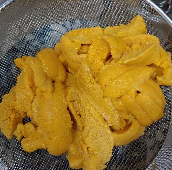 말똥성게
