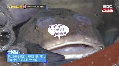 미거지