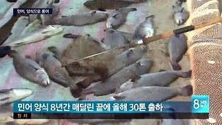 민어