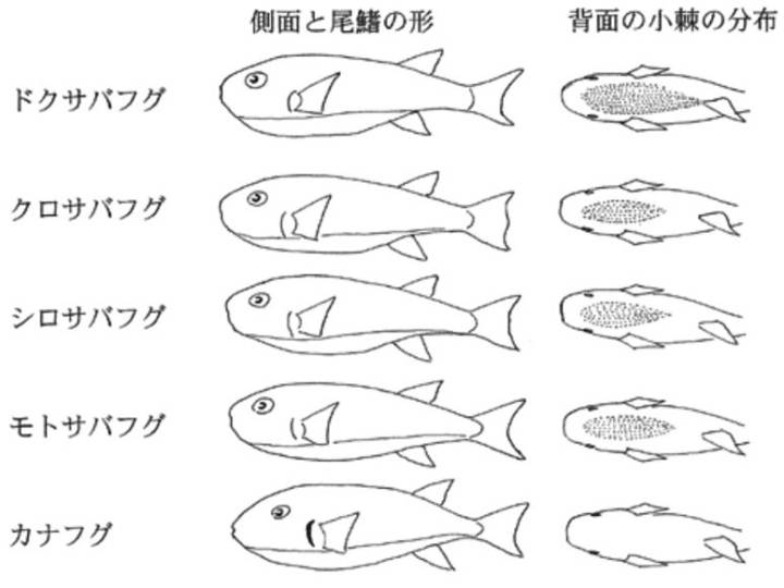 민밀복