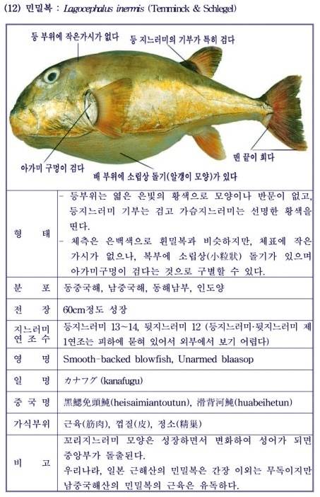 민밀복