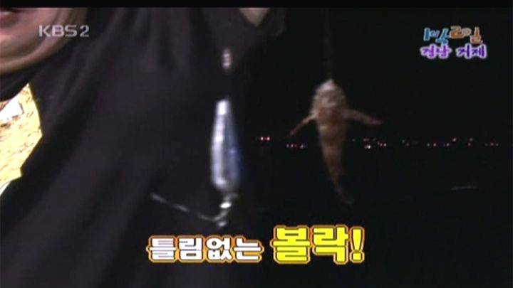 미역치