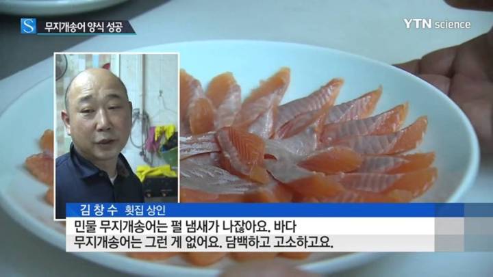 무지개송어