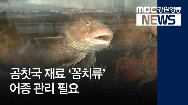 물메기