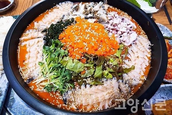 문치가자미