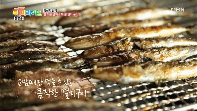 멸치과