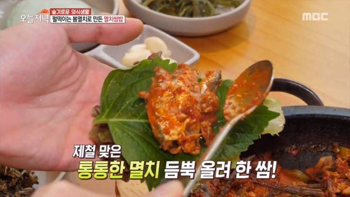 멸치과