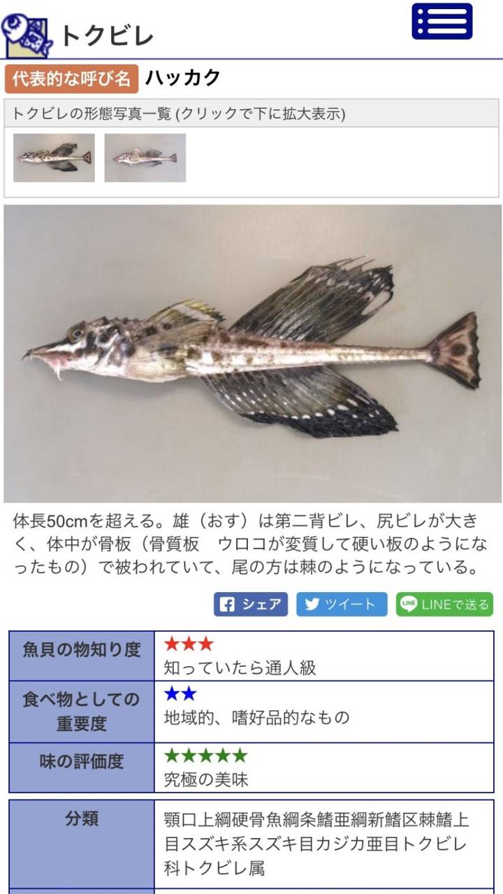 날개줄고기