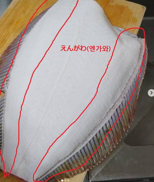 넙치
