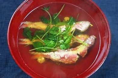 노랑촉수