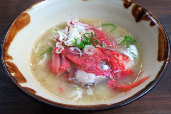 노랑촉수