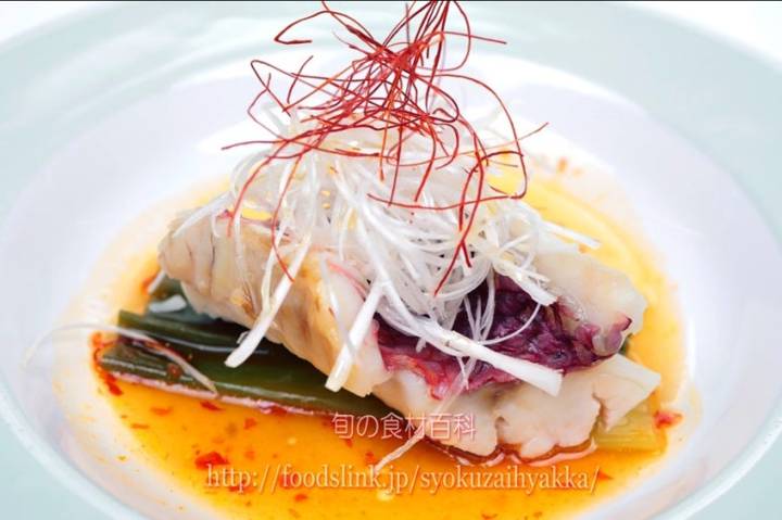 노랑촉수