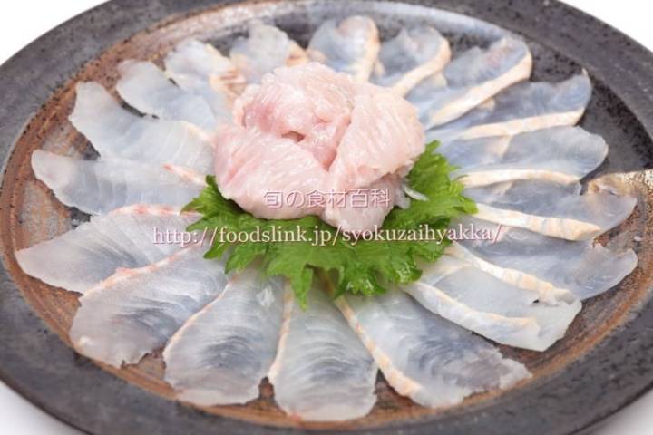 노랑가자미