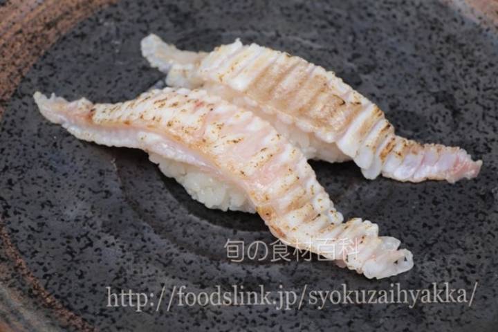 노랑가자미
