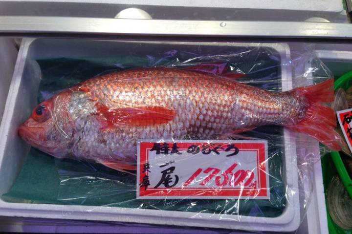 눈볼대