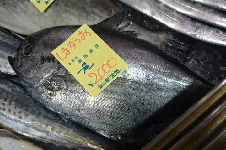 새다래