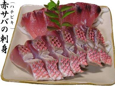 선홍치