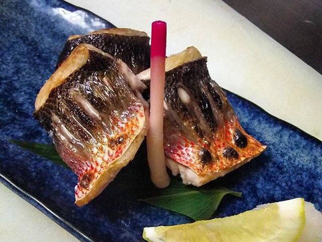 선홍치