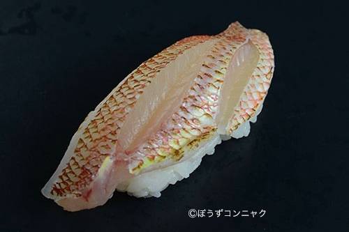 실꼬리돔