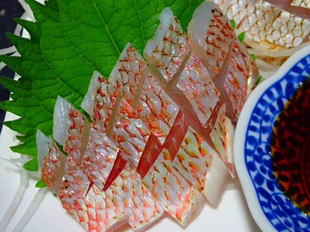 실꼬리돔