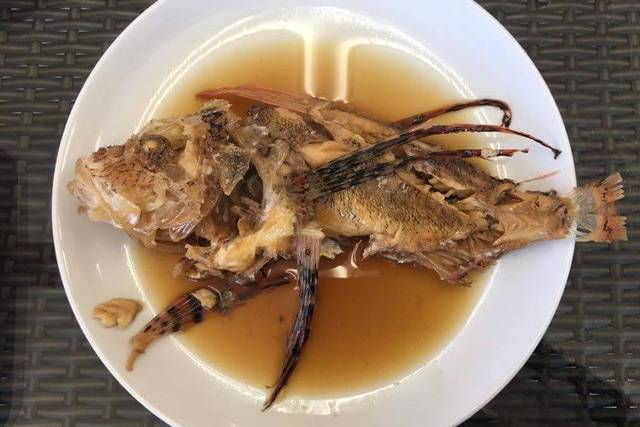 쏠배감펭