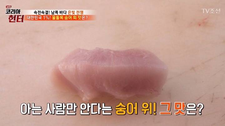 숭어