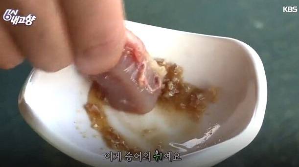숭어