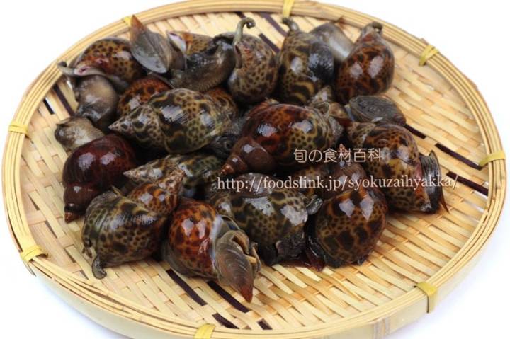 수랑