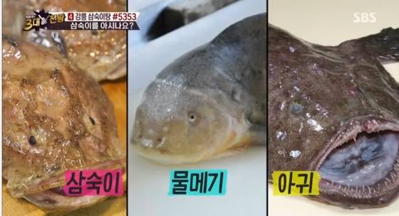 털수배기