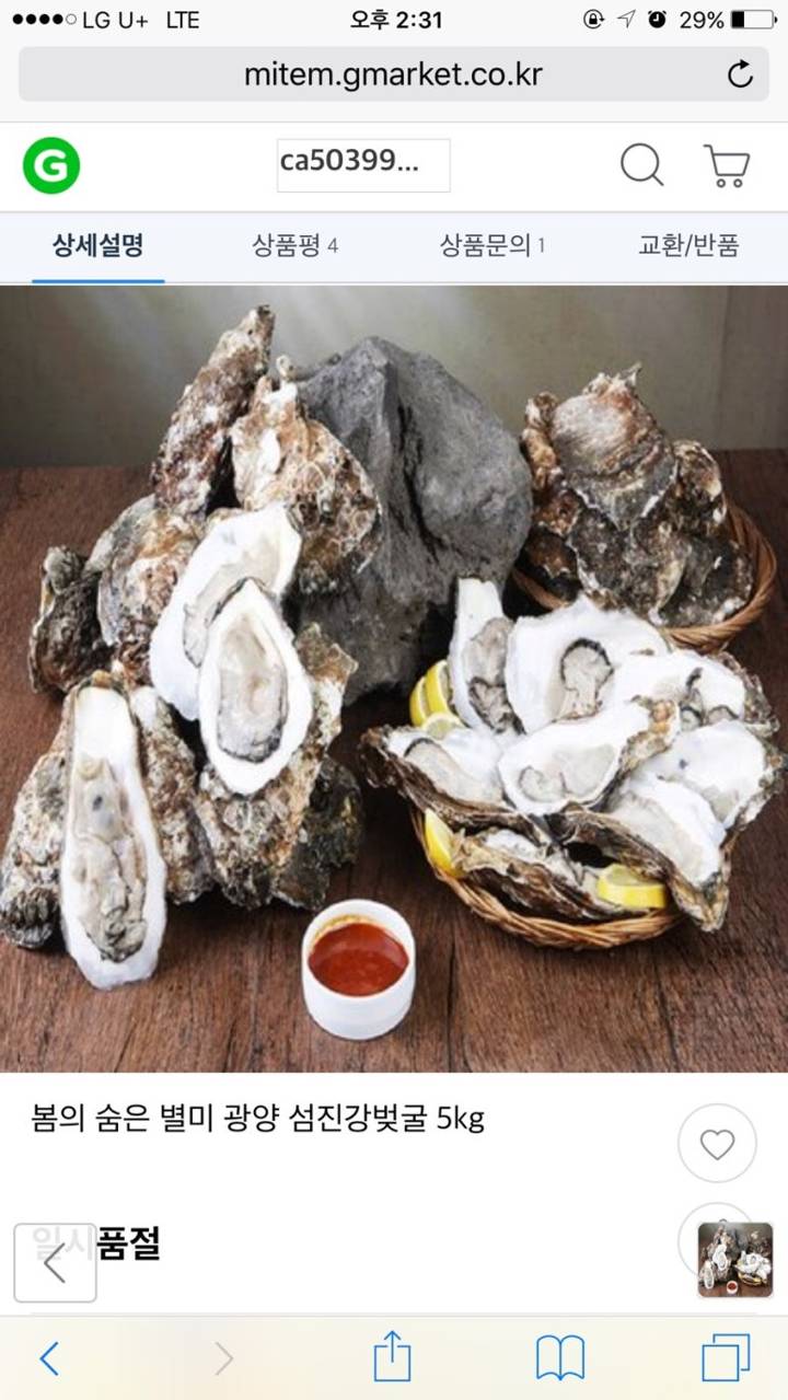 토굴