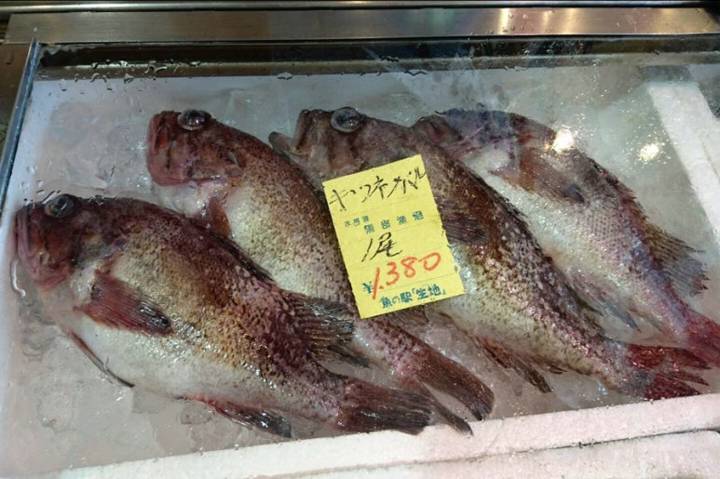 띠볼락