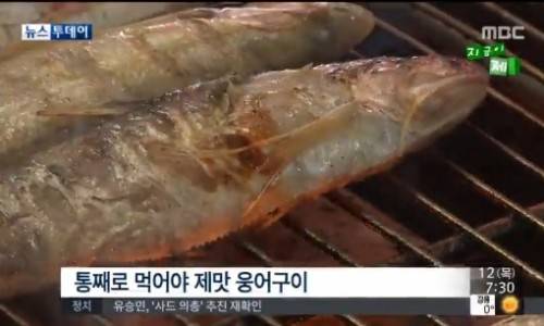 웅어