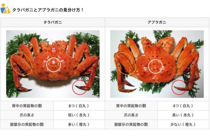 왕게