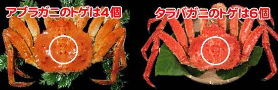왕게