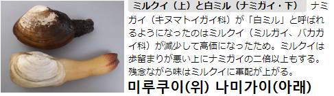 왕우럭조개