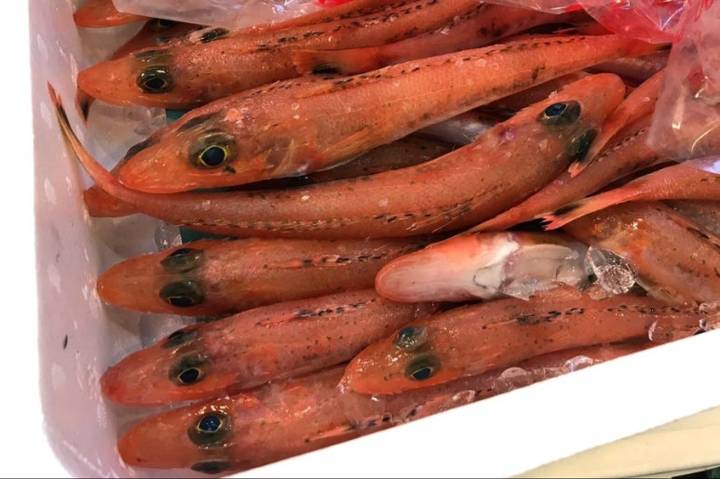 양태